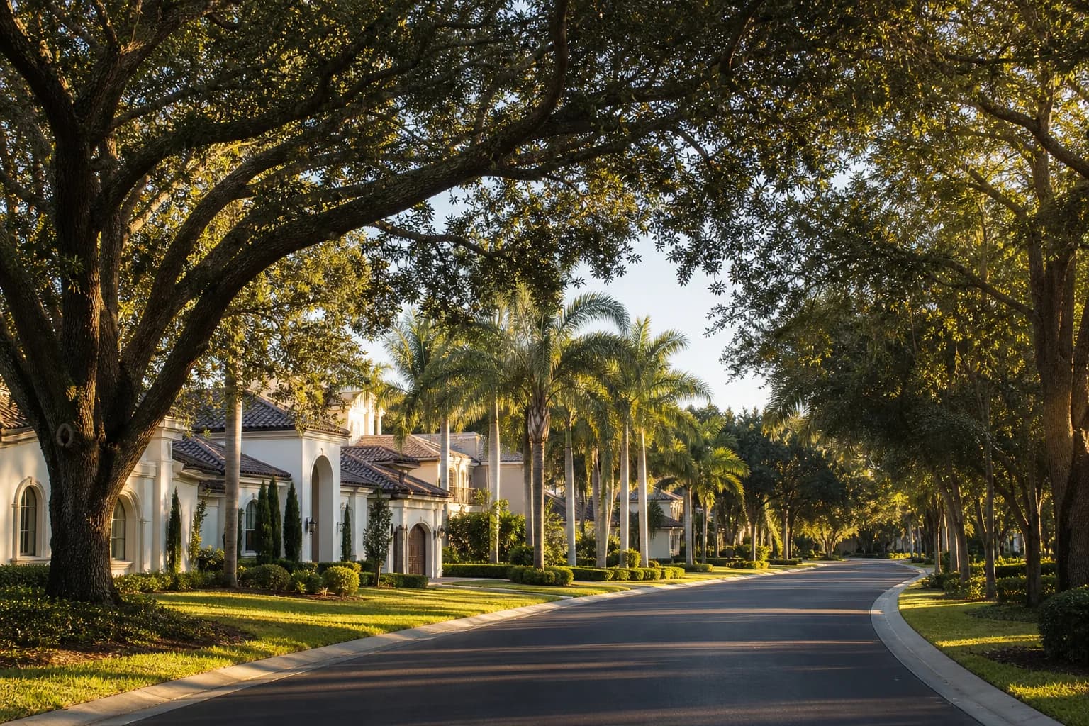 Tree-lined Central Florida residential street in warm afternoon light